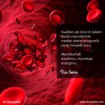 Diskusi MBT For Healthy – Day 1